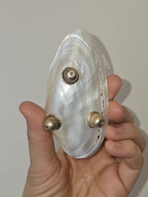 Load image into Gallery viewer, Conchiglie con piedini decorate a mano
