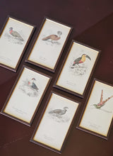 Load image into Gallery viewer, Collezione di mini stampe vintage con uccelli

