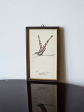 Load image into Gallery viewer, Collezione di mini stampe vintage con uccelli
