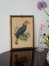 Load image into Gallery viewer, Disegno incorniciato con uccelli tropicali 25x35cm
