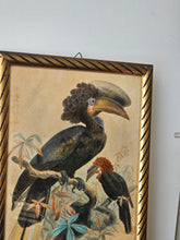 Load image into Gallery viewer, Disegno incorniciato con uccelli tropicali 25x35cm
