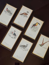 Load image into Gallery viewer, Collezione di mini stampe vintage con uccelli
