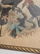 Load image into Gallery viewer, Disegno incorniciato con uccelli tropicali 25x35cm
