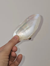 Load image into Gallery viewer, Conchiglie con piedini decorate a mano
