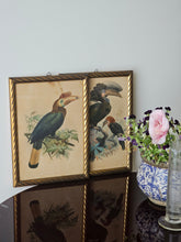 Load image into Gallery viewer, Disegno incorniciato con uccelli tropicali 25x35cm

