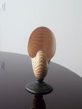 Load image into Gallery viewer, Conchiglia nautilus su base in legno ebanizzato
