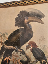 Load image into Gallery viewer, Disegno incorniciato con uccelli tropicali 25x35cm
